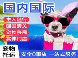 盐城机场快运国际宠物托运 【国